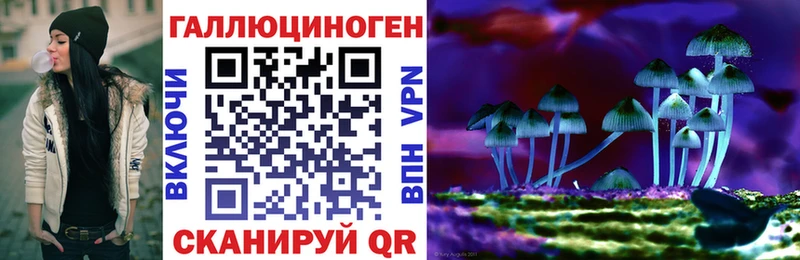 Псилоцибиновые грибы Psilocybe  Пикалёво 